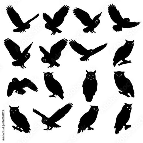Majestic black owls perched on a tree branch under a clear night sky