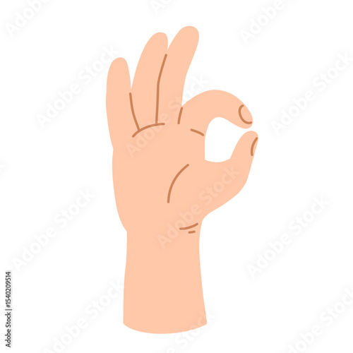 The hand showing the OK gesture in a cartoon flat style isolated on a white background. Vector illustration.