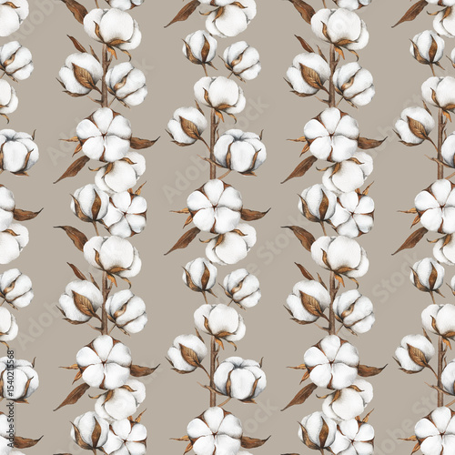 Cotton Plants Seamless Background. Botanical Background with   cotton balls. Floral Watercolor Illustration. Hand painted watercolor cotton branches. 
Watercolor cotton flowers seamless print