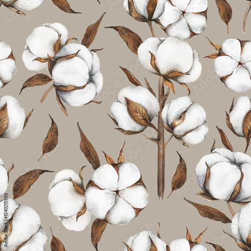 Cotton Plants Seamless Background. Botanical Background with   cotton balls. Floral Watercolor Illustration. Hand painted watercolor cotton branches. 
Watercolor cotton flowers seamless print