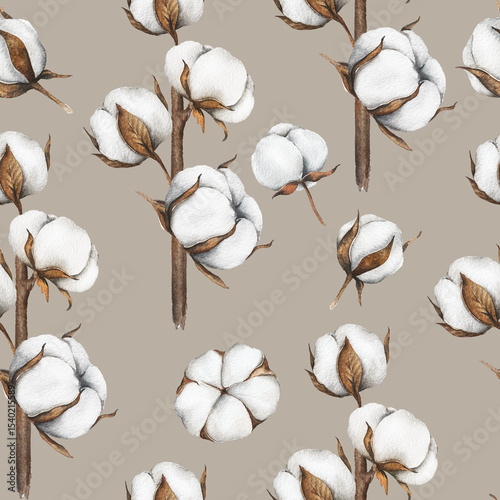 Cotton Plants Seamless Background. Botanical Background with   cotton balls. Floral Watercolor Illustration. Hand painted watercolor cotton branches. 
Watercolor cotton flowers seamless print