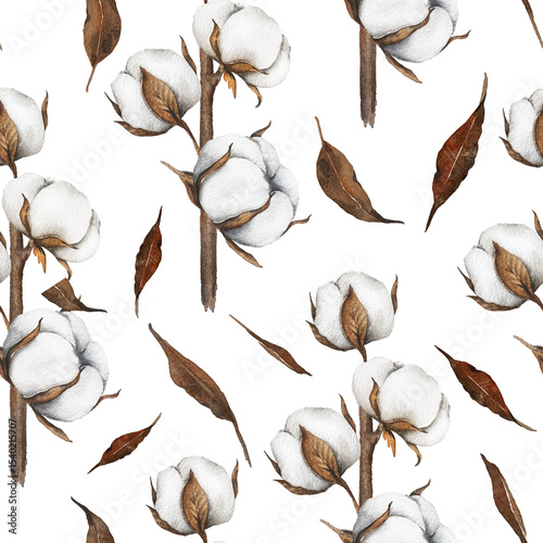 Cotton Plants Seamless Background. Botanical Background with   cotton balls. Floral Watercolor Illustration. Hand painted watercolor cotton branches. 
Watercolor cotton flowers seamless print