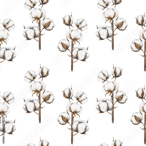 Cotton Plants Seamless Background. Botanical Background with   cotton balls. Floral Watercolor Illustration. Hand painted watercolor cotton branches. 
Watercolor cotton flowers seamless print