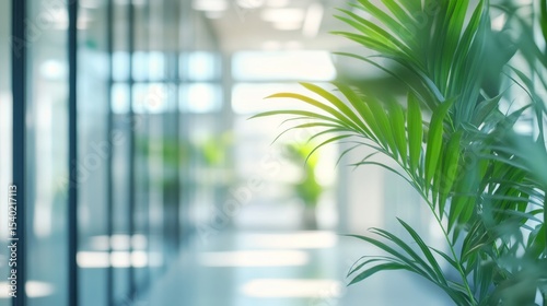 Fototapeta Naklejka Na Ścianę i Meble -  Modern corporate office interior with glass walls and green indoor plants, blurred background of business center hallway or contemporary bank environment with natural light




