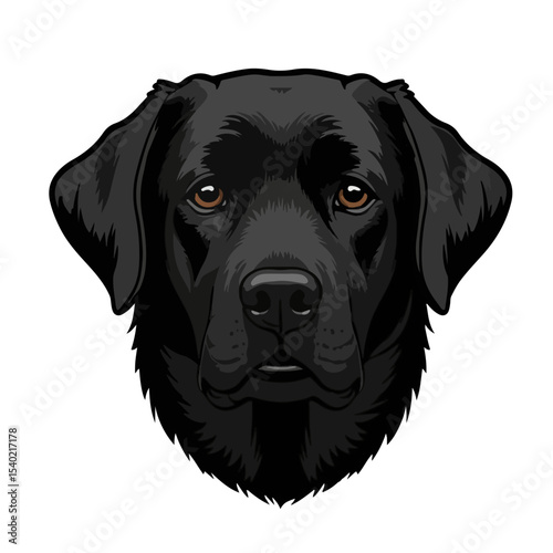 Labrador Retriever head vector illustration isolated on transparent background