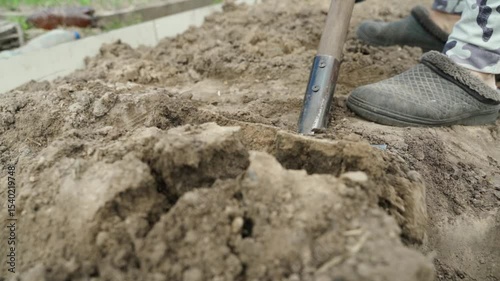 Wallpaper Mural Digging a recess in the soil of a vegetable garden bed with a shovel, in slow motion  Torontodigital.ca