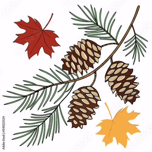 Illustration of pine cones and autumn leaves on a branch in a colorful and artistic style
