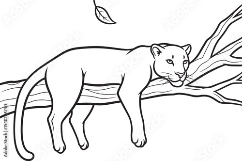 Relaxing Feline A Black and White Drawing of a Cougar in a Tree