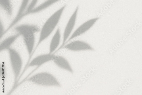 Soft shadow of plant leaves on white wall, abstract natural light minimal background
