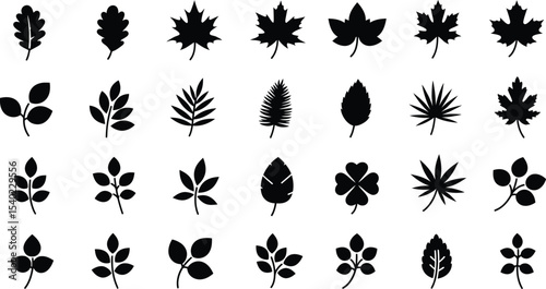Diverse Collection of Black Leaf Silhouettes Botanical Variety and Artistic Representation of Foliage Types for Decoration and Educational Purposes