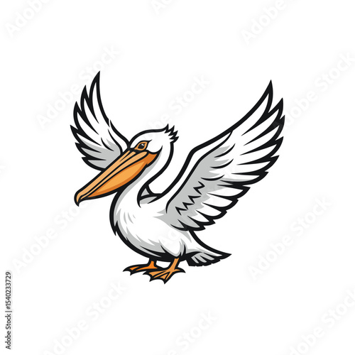 pelican isolated on white background