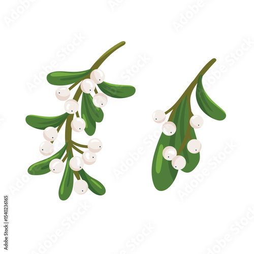 Mistletoe branch. Flat vector clipart, illustration with isolated background.