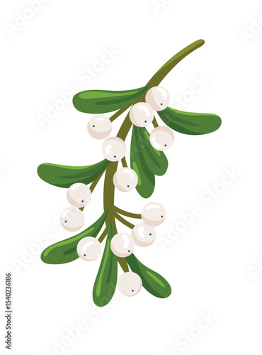 Mistletoe branch. Flat vector clipart, illustration with isolated background.