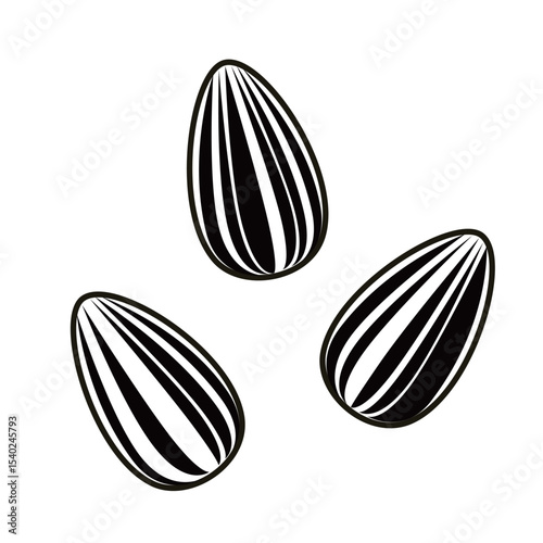 シンプルなひまわりの種のイラスト
