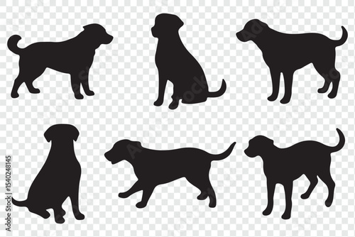 Silhouettes of a dog, vector, isolated collection. Dogs group standing or sitting of different breed. eps 10