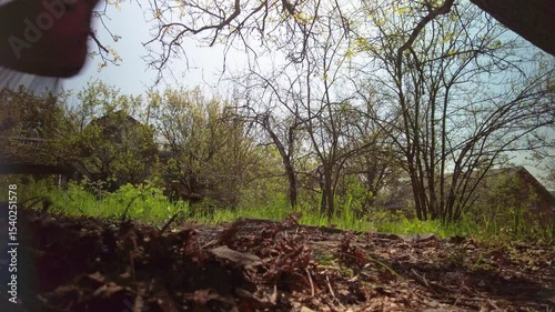 Unrecognizable person raking dry fall foliage at backyard. Yard maintenance tool moves close to camera from low angle view with green foliage in background.