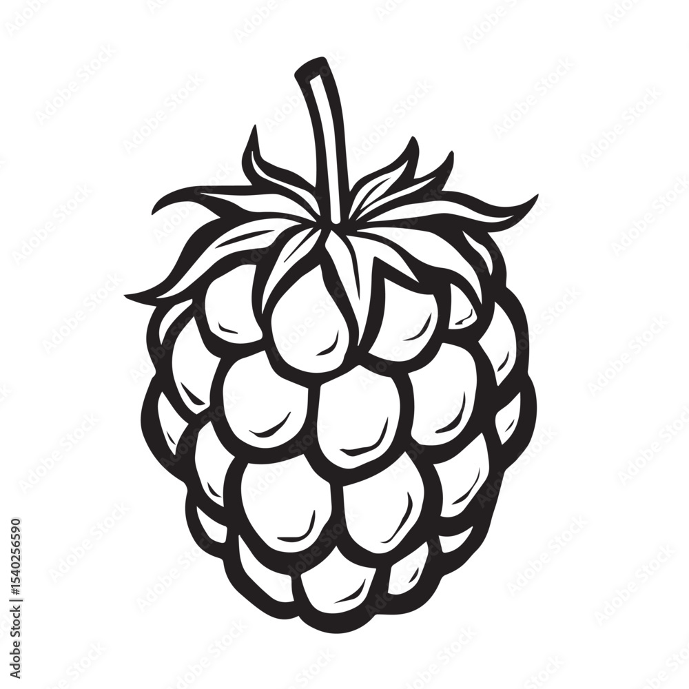 Obraz premium Black and white raspberry illustration