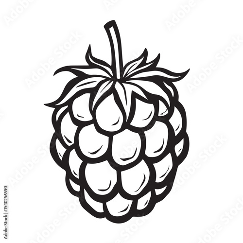 Black and white raspberry illustration