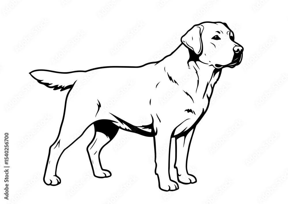 Fototapeta premium labrador, stencil, pet, drawing, outline, art, animal, symbol, vector, illustration, silhouette, domestic, monochrome, graphic, black, black dog, standing, dog drawing, dog logo, game, isolated, puppy