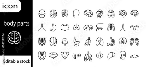 A collection of line art icons depicting various human organs and anatomical body parts in a grid layout