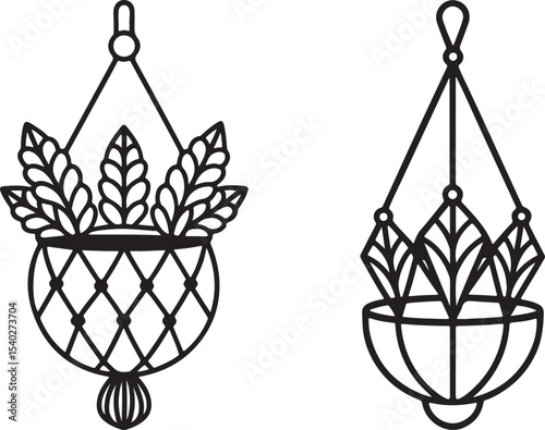 Hanging plant beautiful handdrawn home decoration isolated