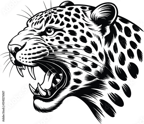 Illustration of a snarling jaguar head in black and white with detailed fur and sharp teeth visible