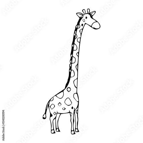 giraffe vector illustration
