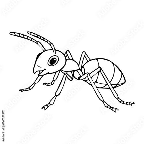 ant isolated on white background
