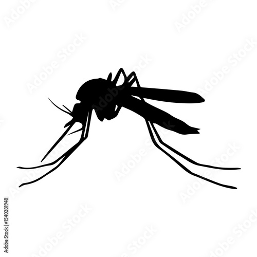 mosquito isolated on white background