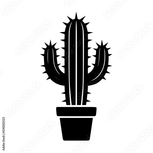 cactus in a pot