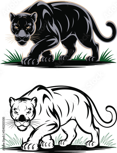 Tiger Vector Art Illustration Design 3