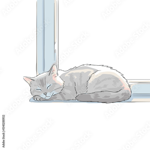 Sleeper cat resting on a window sill with transparent background  