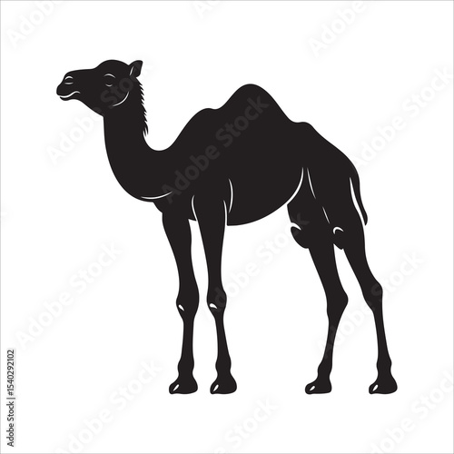 Silhouette of camel, camel vector illustration art