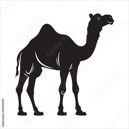 Silhouette of camel, camel vector illustration art