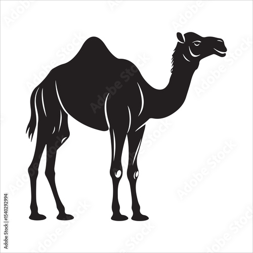 Silhouette of camel, camel vector illustration art