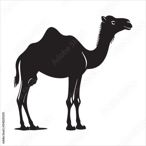 Silhouette of camel, camel vector illustration art
