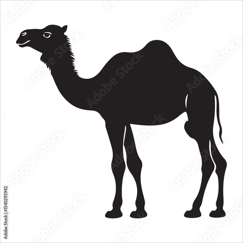 Silhouette of camel, camel vector illustration art