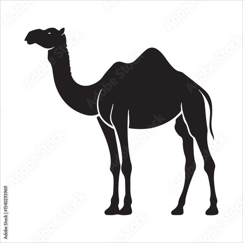 Silhouette of camel, camel vector illustration art