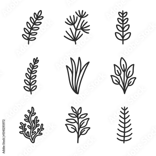 Aquatic Plants Icons. Outline icon set of submerged aquatic plants: elodea, hornwort, cabomba, anacharis, vallisneria, crypt