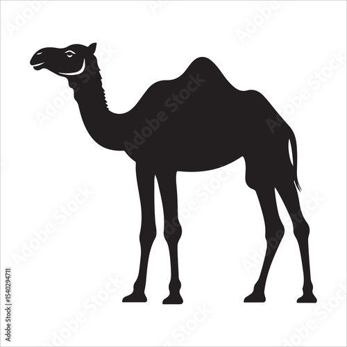 Silhouette of camel, camel vector illustration art