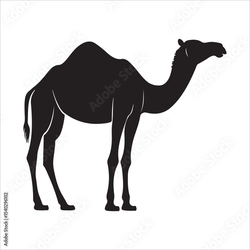 Silhouette of camel, camel vector illustration art
