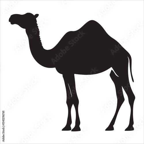 Silhouette of camel, camel vector illustration art
