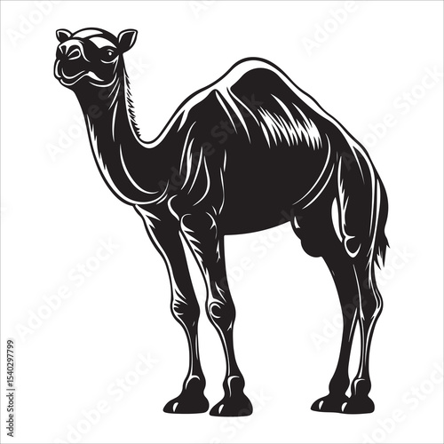 Silhouette of camel, camel vector illustration art