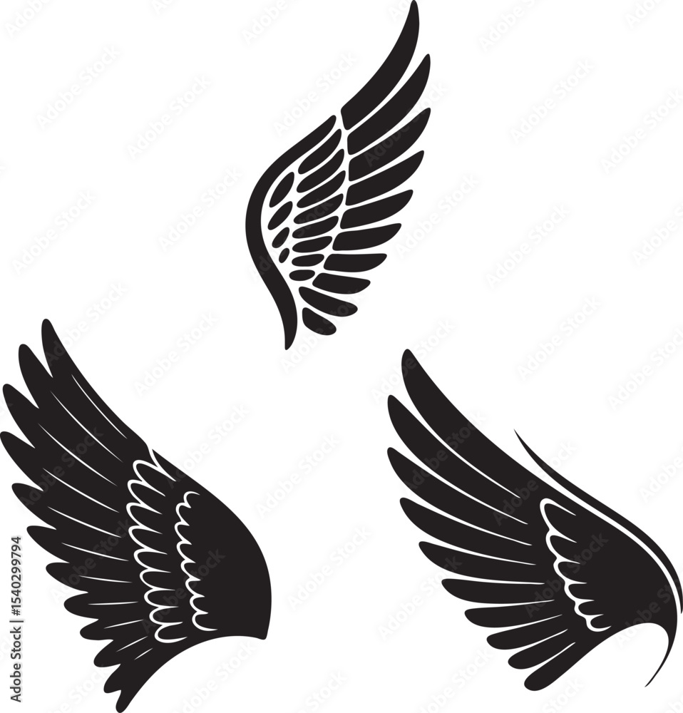 Obraz premium Minimalist Feather Wings