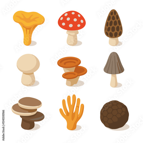 Forest Fungi Icons. Isometric Flat icon set of forest floor fungi: chanterelle, amanita, morel, puffball, bracket fungus, ink cap,