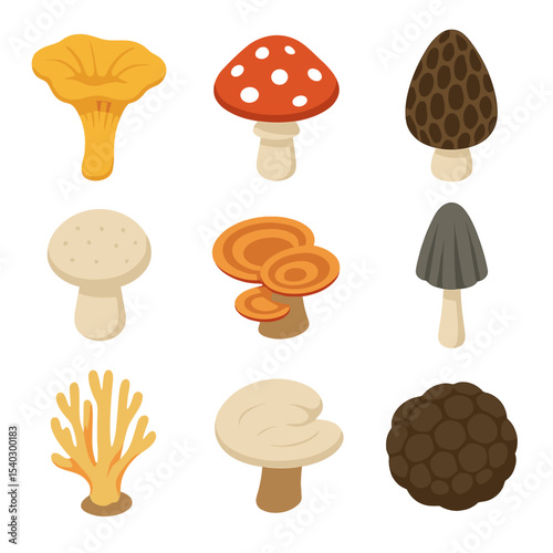 Forest Fungi Icons. Isometric Flat icon set of forest floor fungi: chanterelle, amanita, morel, puffball, bracket fungus, ink cap,