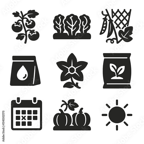 Seasonal Planting Icons. Solid, filled icons set of seasonal urban planting: tomato vine, lettuce row, squash