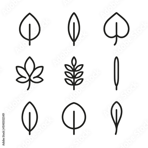 Leaf Shapes Icon Set. Outline icon set of leaf shapes: ovate, lanceolate, cordate, palmate, pinnate, linear, elliptical, orbicular