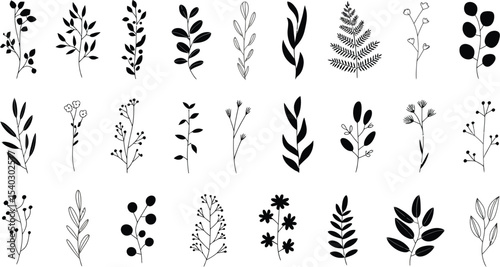 Collection of twenty four black and white botanical illustrations of various plants and floral elements