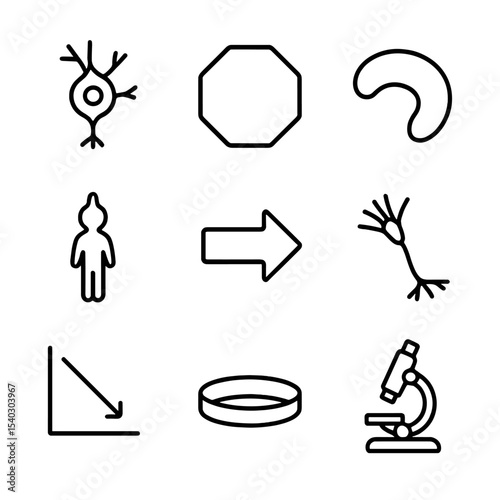 Neurogenesis Inhibition Icons. Outline icon set of neurogenesis inhibition: neural stem cell, stop sign, dentate gyrus outline,